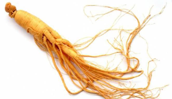 186948ginseng663382.jpg