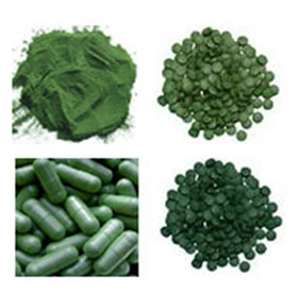 Chlorella3.jpg