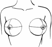 breast01-04.gif