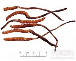 1-14021Q02545T7.jpg 1-14021Q02545T7.jpg