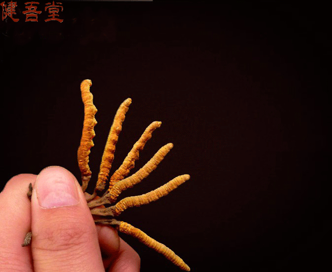 2014122312594742365.gif 2014122312594742365.gif