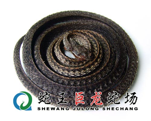 Сушеная змейка