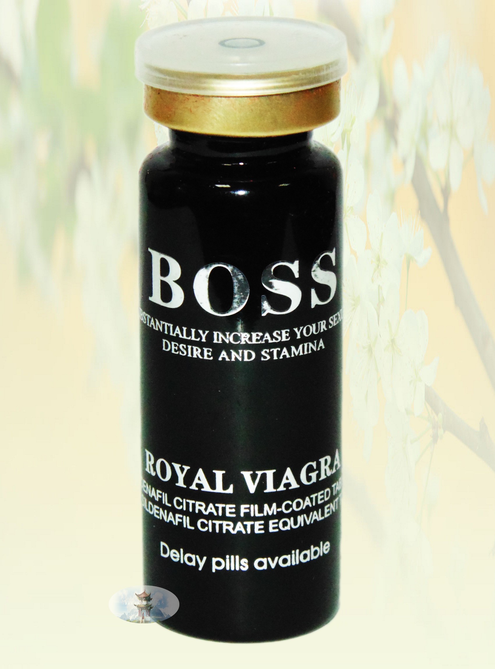 Препарат «Boss» NEW! (10 таблеток)